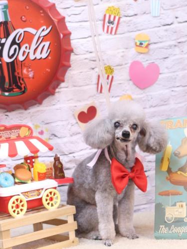 20230928サージュちゃん